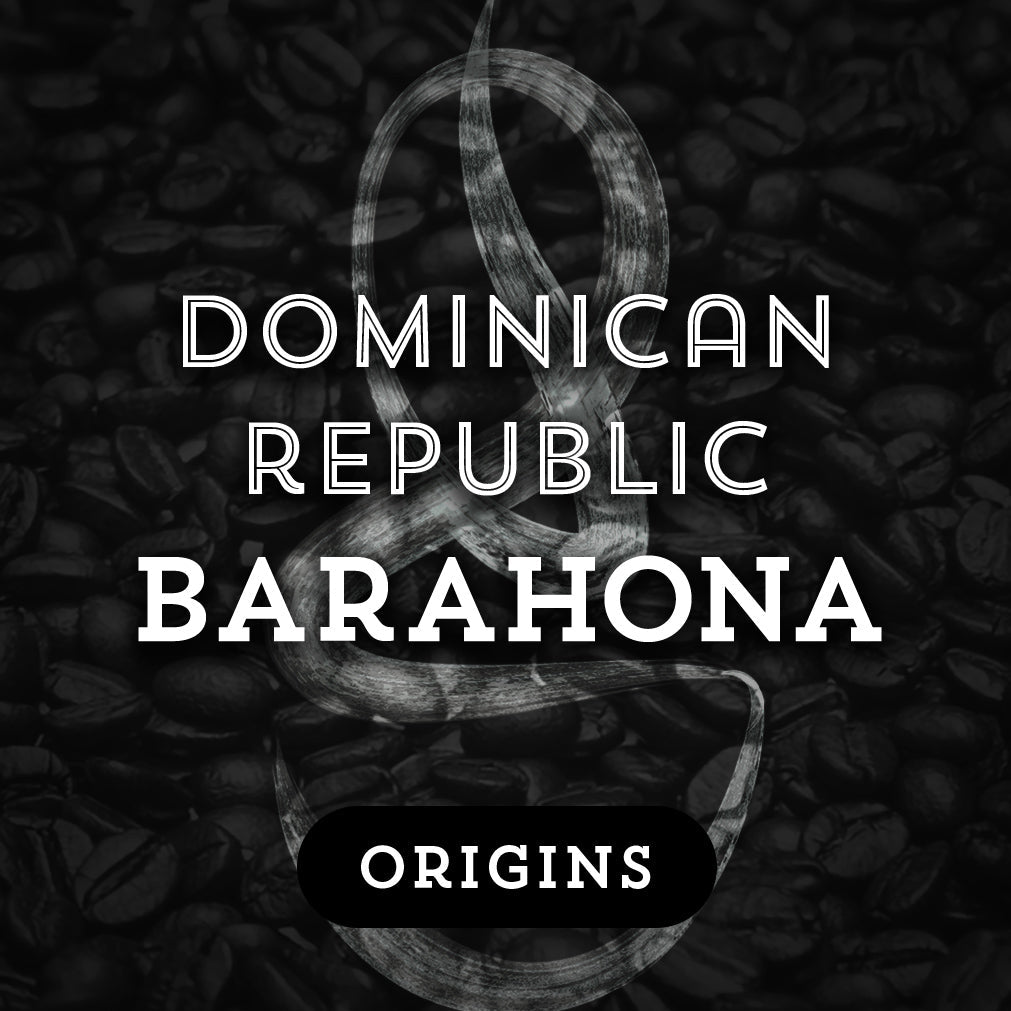 Origins: Dominican Republic