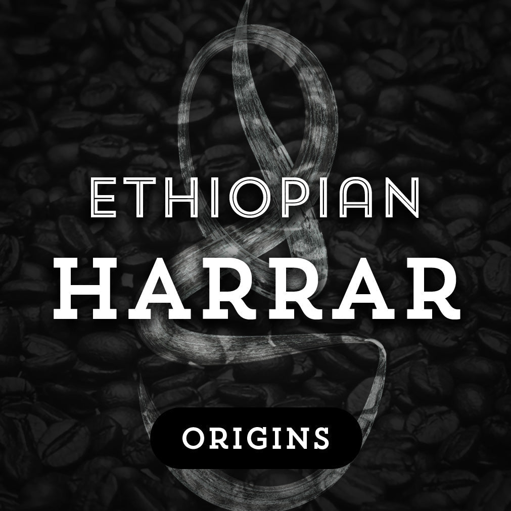 Ethiopian Harrar - Premium Coffee from $19. Shop now at Grind Roast Masters