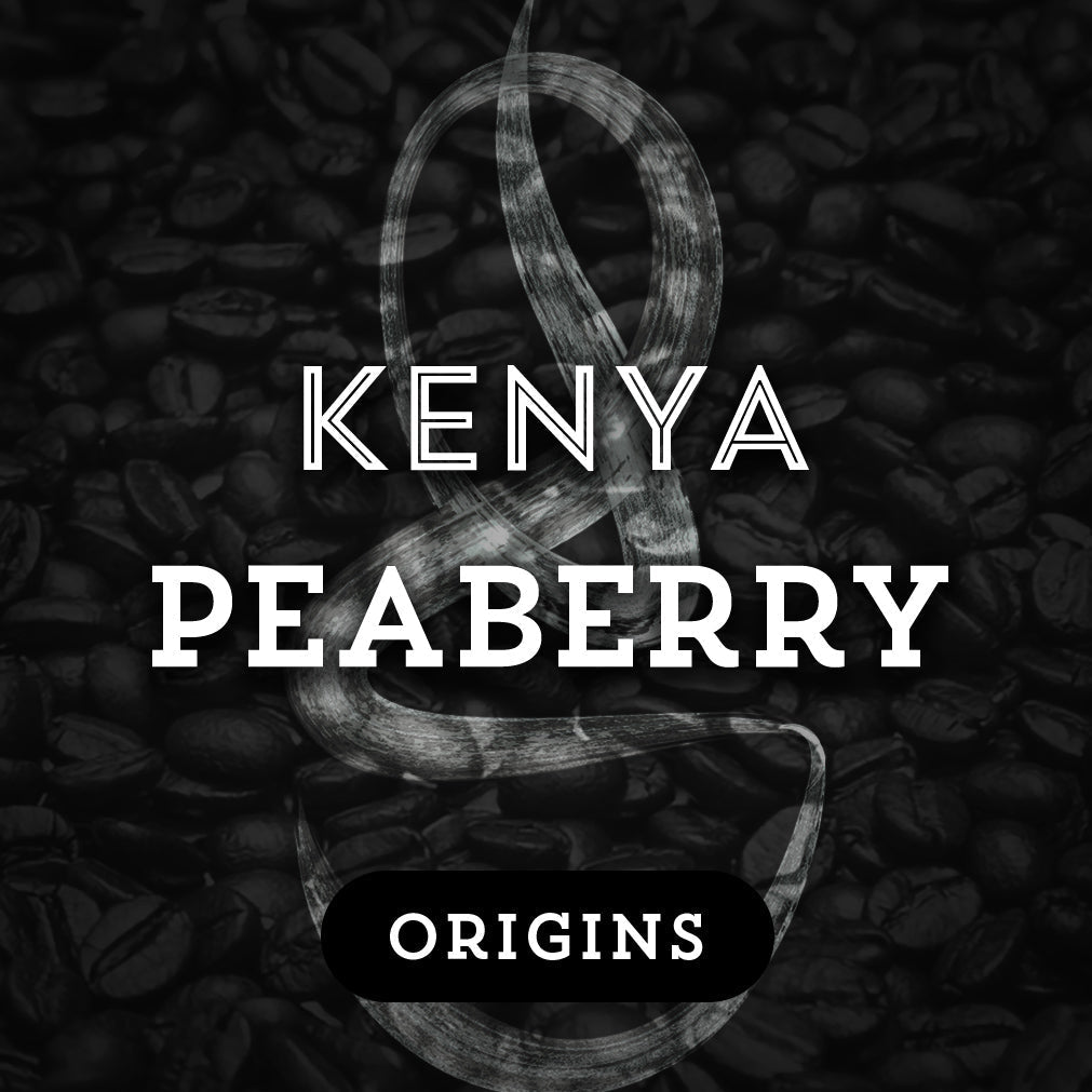 Kenya Peaberry - Premium Coffee from $19. Shop now at Grind Roast Masters