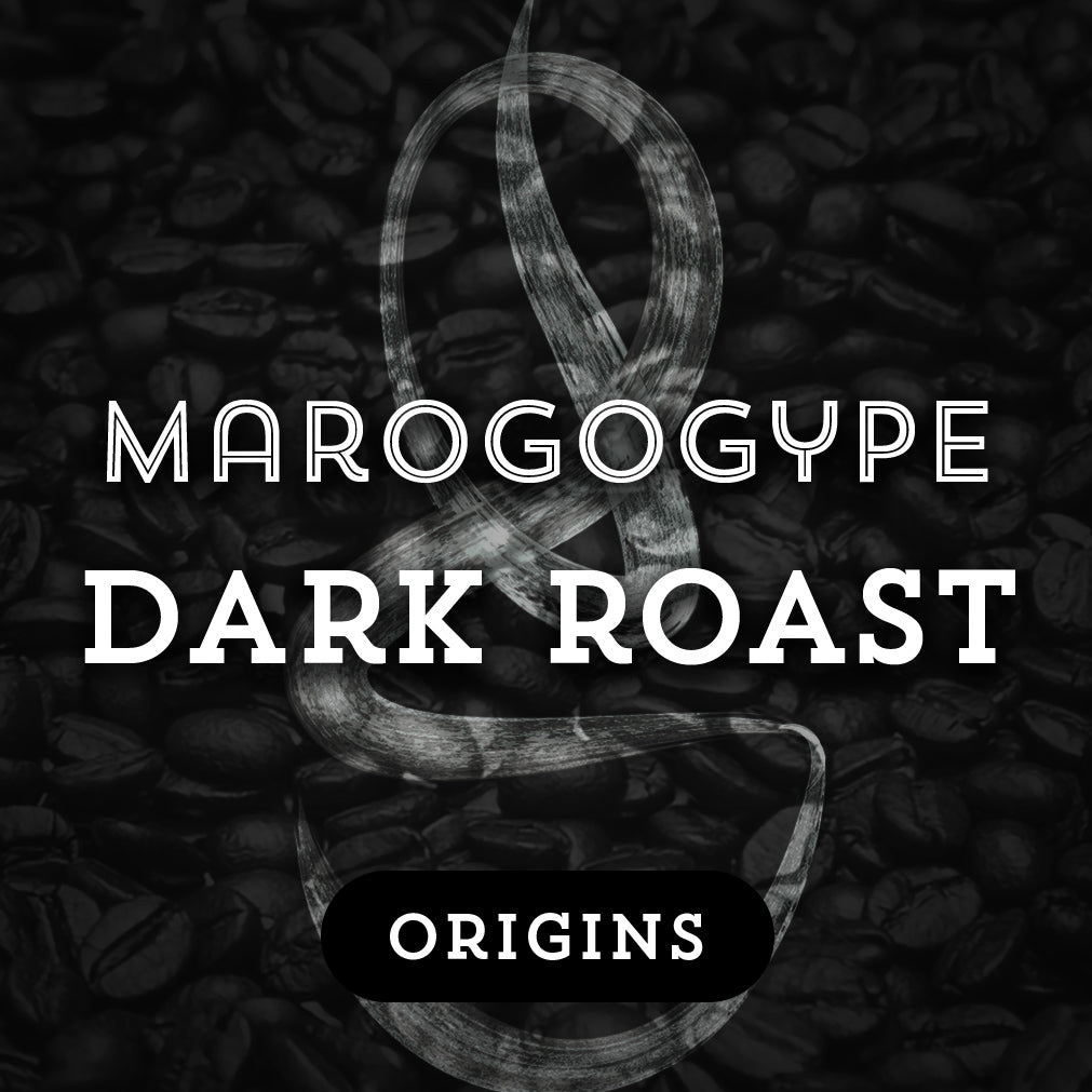 Marogogype Dark Roast - Premium Coffee from $20. Shop now at Grind Roast Masters