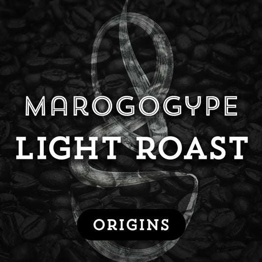 Marogogype Light Roast - Premium Coffee from $20. Shop now at Grind Roast Masters