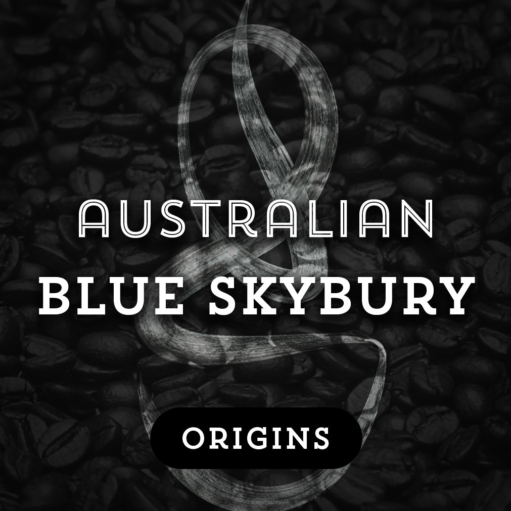 Australian Blue Skybury - Premium Coffee from $21. Shop now at Grind Roast Masters