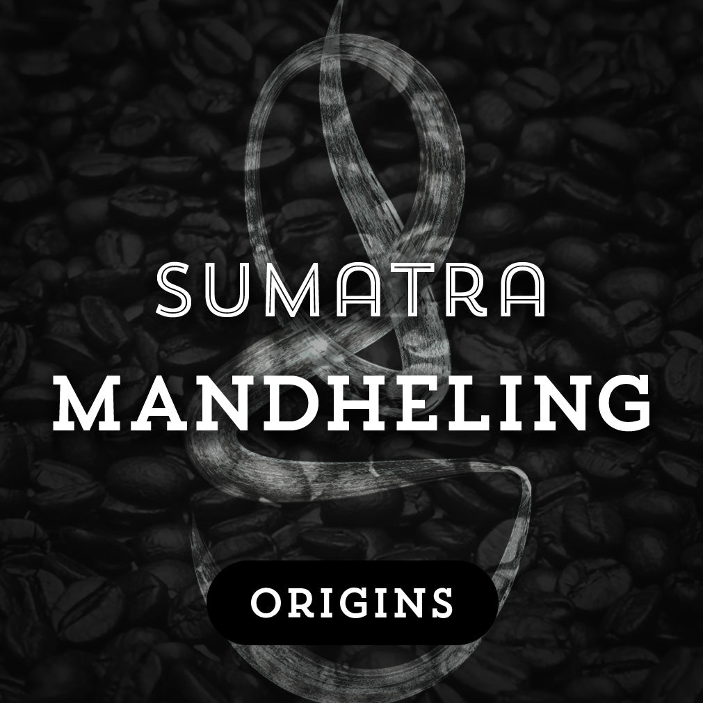 Sumatra Mandheling - Premium Coffee from $19. Shop now at Grind Roast Masters