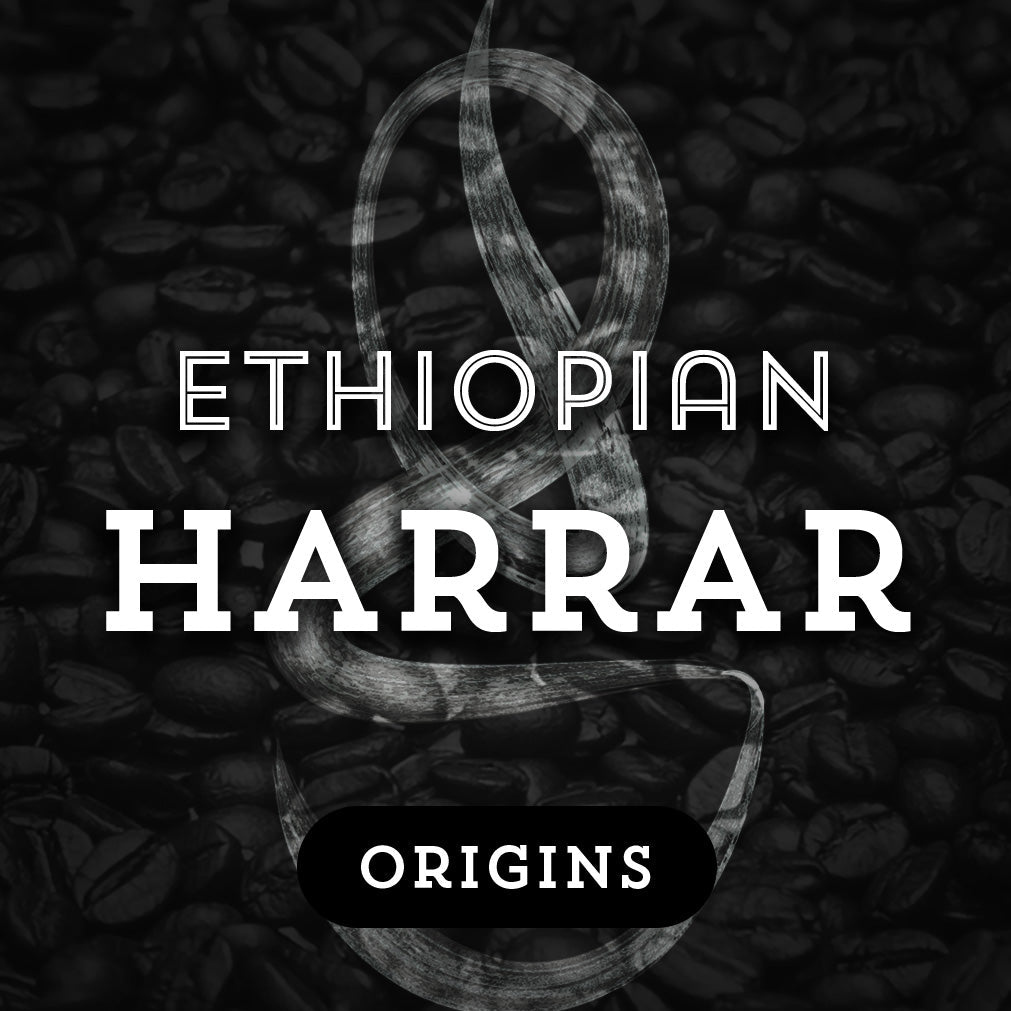Ethiopian Harrar - Premium Coffee from $16. Shop now at Grind Roast Masters