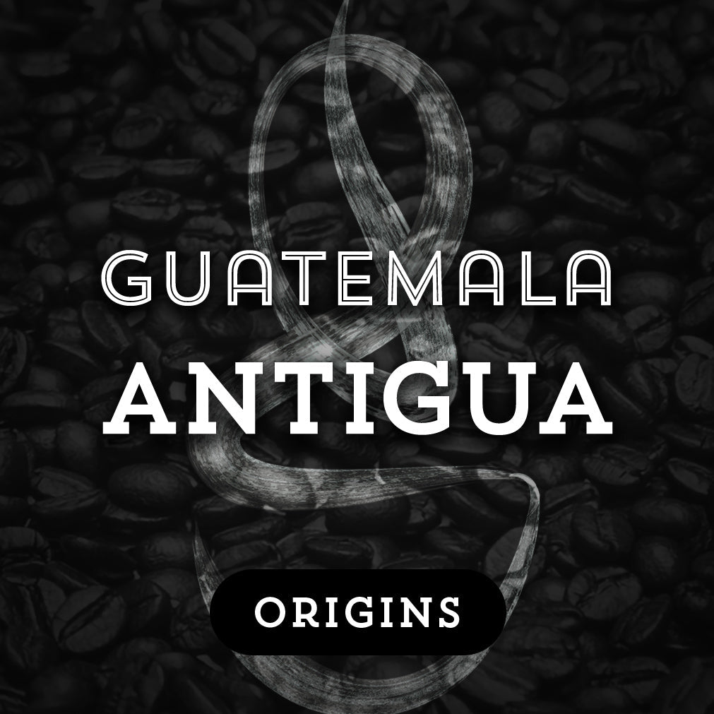 Guatemala Antigua - Premium Coffee from $16.50. Shop now at Grind Roast Masters