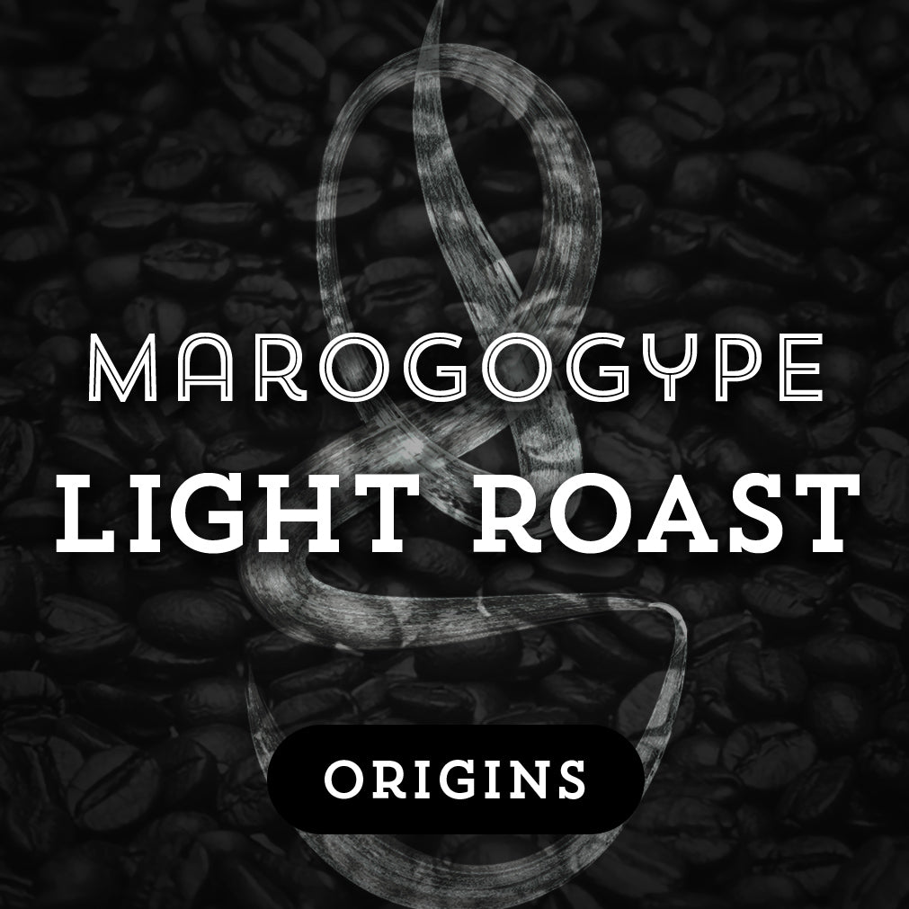 Marogogype Light Roast - Premium Coffee from $18. Shop now at Grind Roast Masters