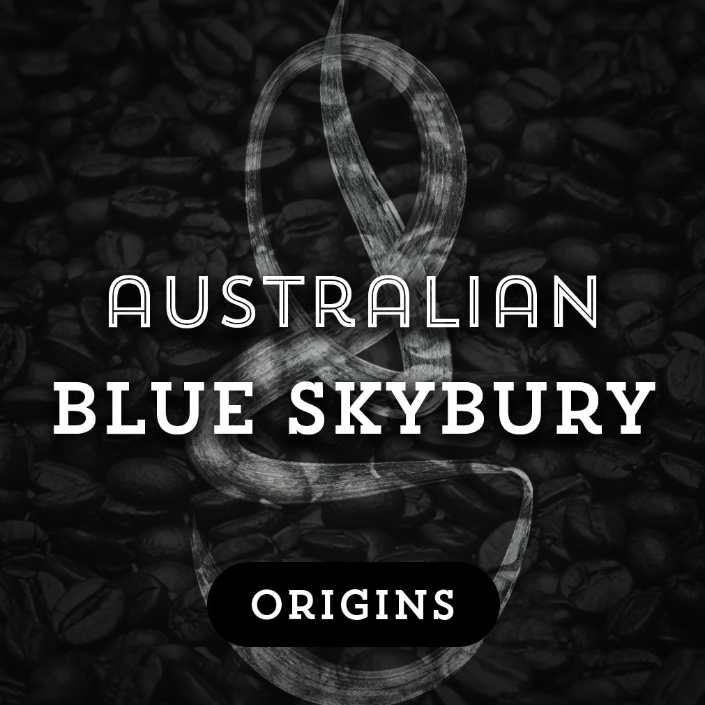 Australian Blue Skybury - Premium Coffee from $18. Shop now at Grind Roast Masters