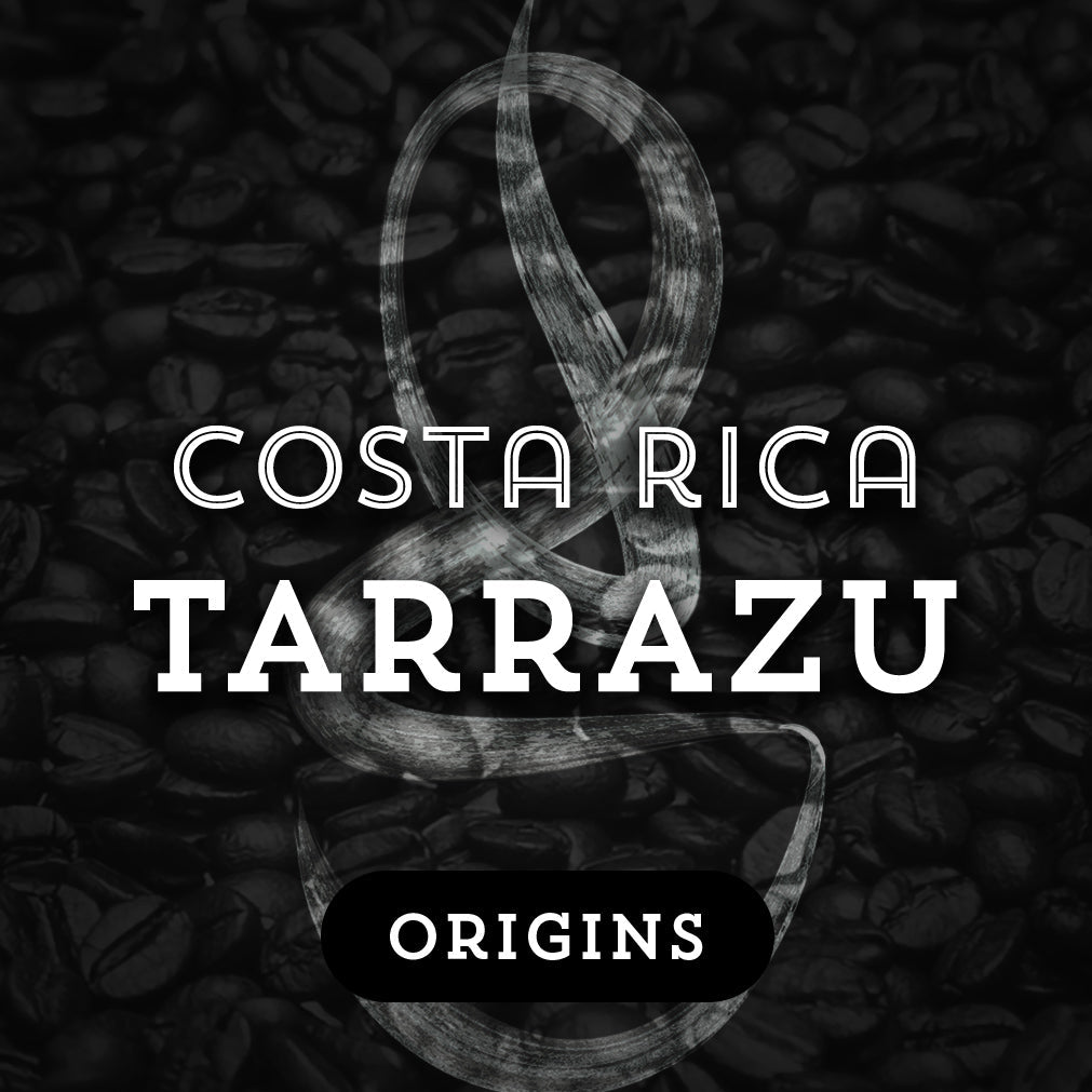Costa Rica Tarrazu - Premium Coffee from $16. Shop now at Grind Roast Masters