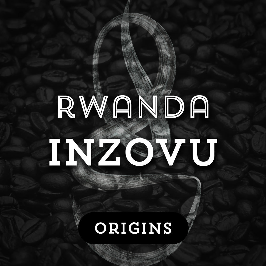 Rwanda Inzovu - Premium Coffee from $16. Shop now at Grind Roast Masters