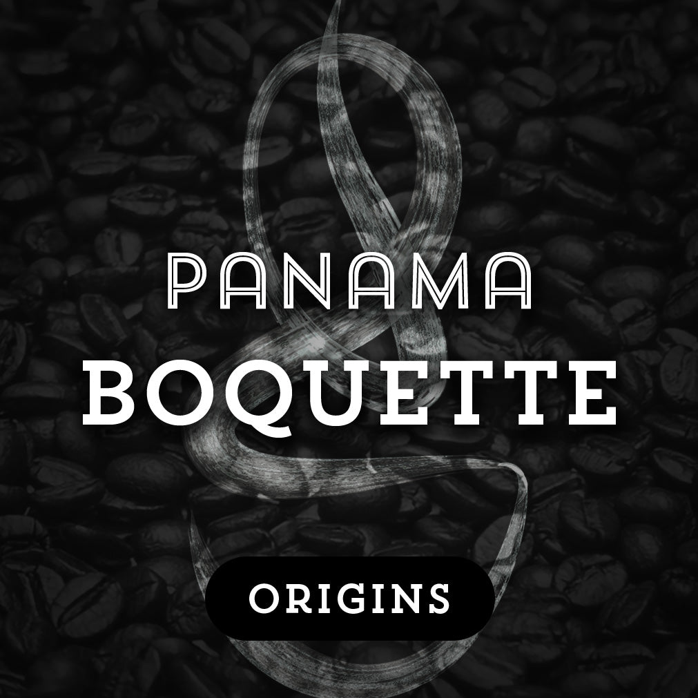 Panama Boquette - Premium Coffee from $16. Shop now at Grind Roast Masters